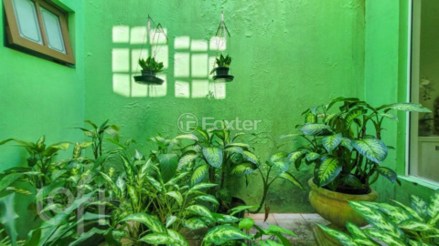 Image 7 - 915572