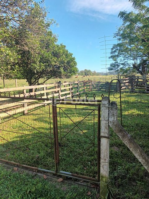 Image 8 - 915781