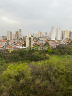 Image 9 - 915852