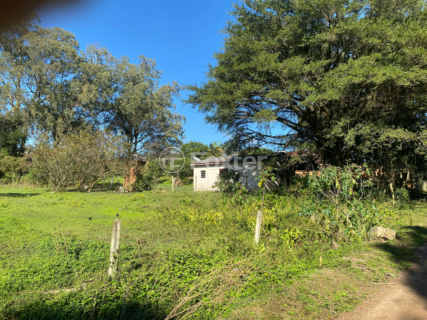 Image 3 - 915954