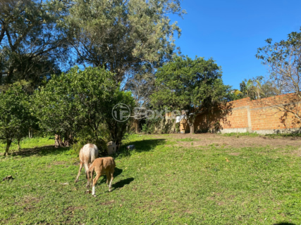 Image 4 - 915954