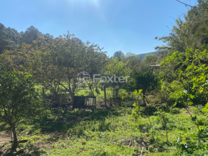 Image 5 - 915954