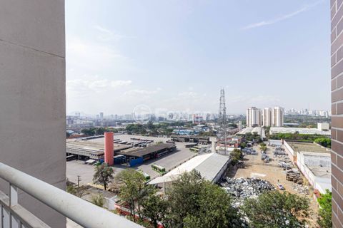 Image 3 - 916262