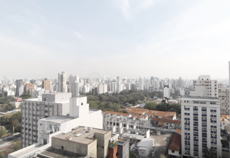 Image 12 - 916387