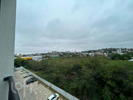 Image 11 - 916492