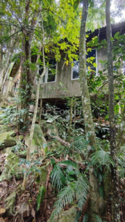 Image 10 - 916503