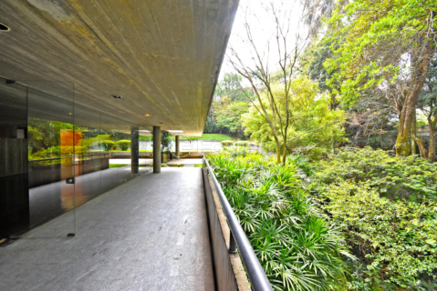 Image 4 - 916581