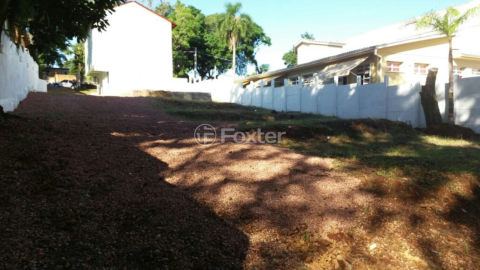 Image 3 - 916795