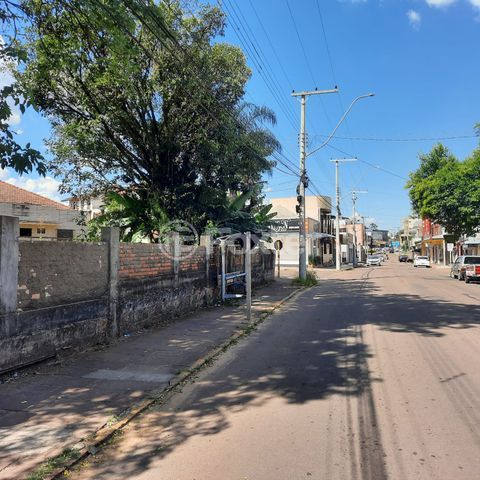 Image 4 - 917069