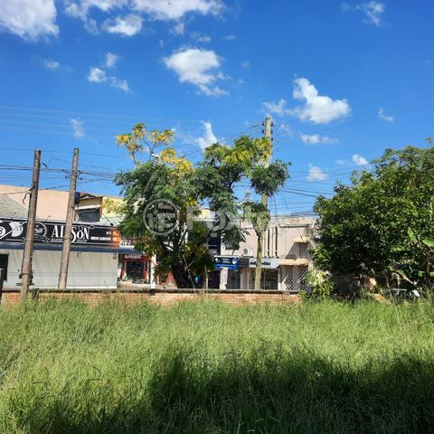Image 5 - 917069