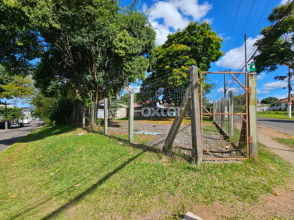Image 3 - 917383