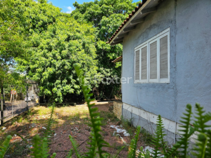 Image 14 - 917383