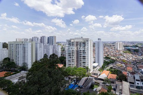 Image 8 - 917491