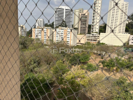 Image 12 - 917525
