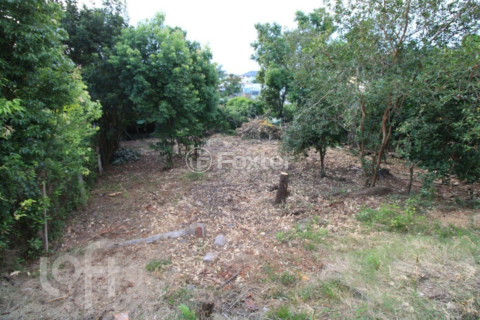 Image 9 - 917745