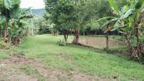 Image 11 - 918006