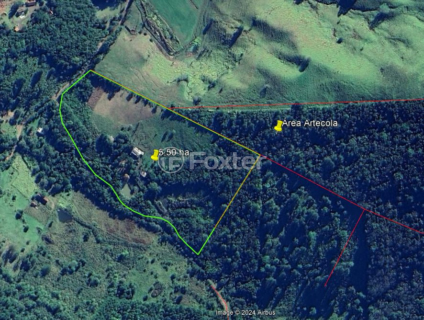 Image 9 - 918006
