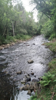 Image 12 - 918006