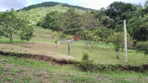 Image 8 - 918006
