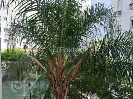Image 14 - 918215