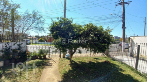 Image 19 - 918431