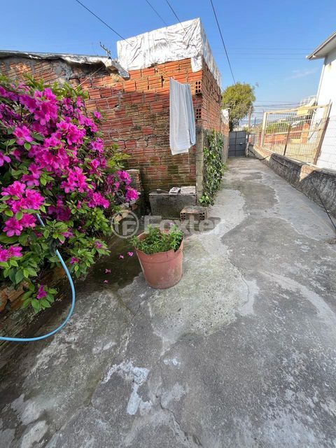 Image 14 - 918436