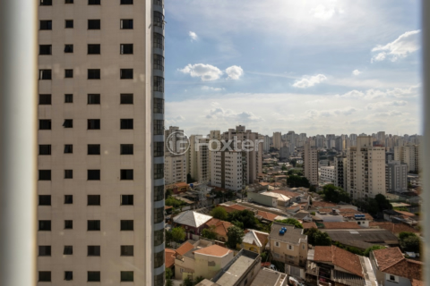 Image 24 - 919213