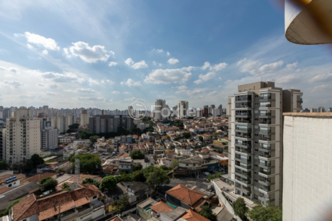 Image 35 - 919213
