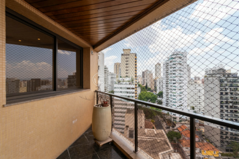 Image 39 - 919219