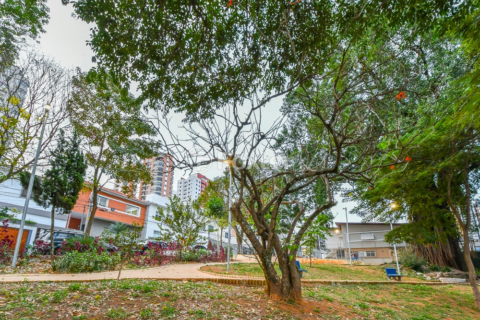 Image 12 - 919232