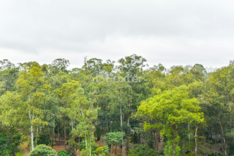 Image 44 - 919277