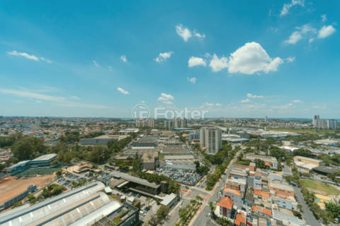 Image 56 - 919282