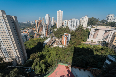 Image 8 - 919286