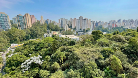 Image 8 - 919287