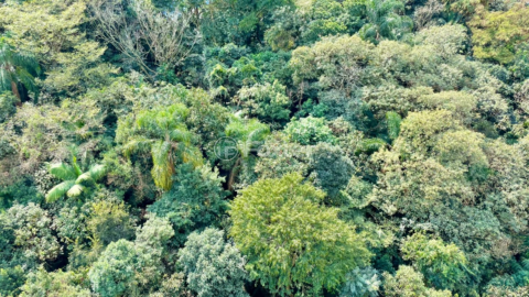 Image 9 - 919287