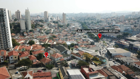 Image 8 - 919343