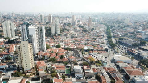 Image 13 - 919343