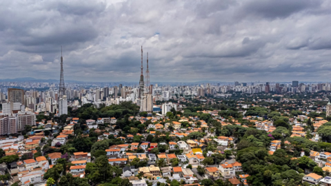 Image 93 - 919375