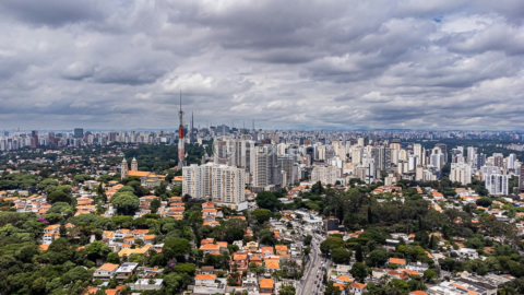 Image 94 - 919375