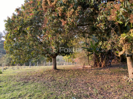 Image 100 - 919423