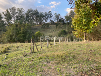 Image 99 - 919423