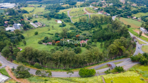 Image 5 - 919423