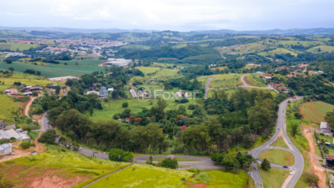 Image 103 - 919423