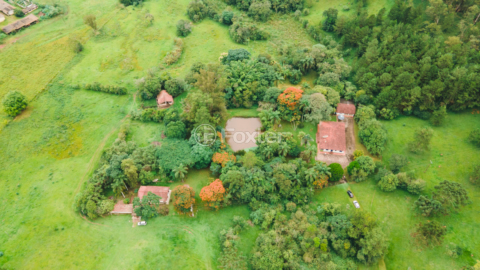 Image 2 - 919423