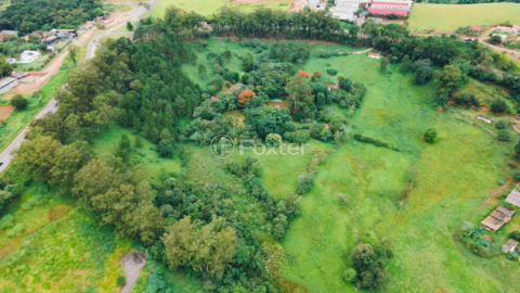 Image 7 - 919423