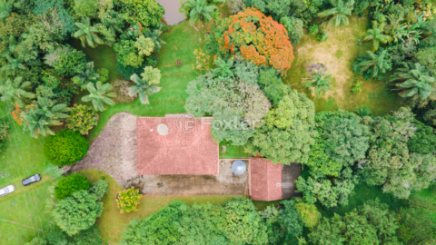Image 3 - 919423
