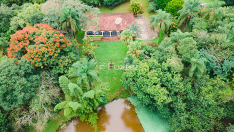 Image 4 - 919423