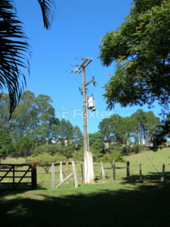 Image 88 - 919423