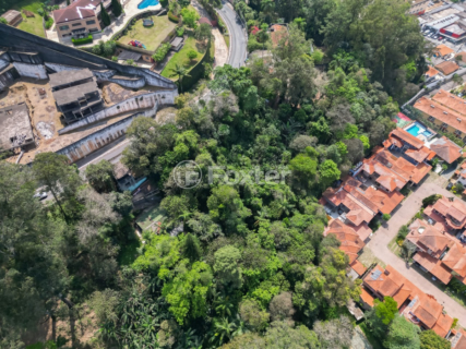 Image 7 - 919605