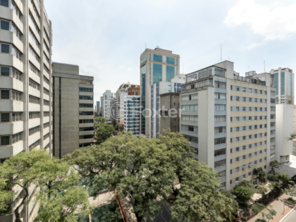 Image 19 - 919645